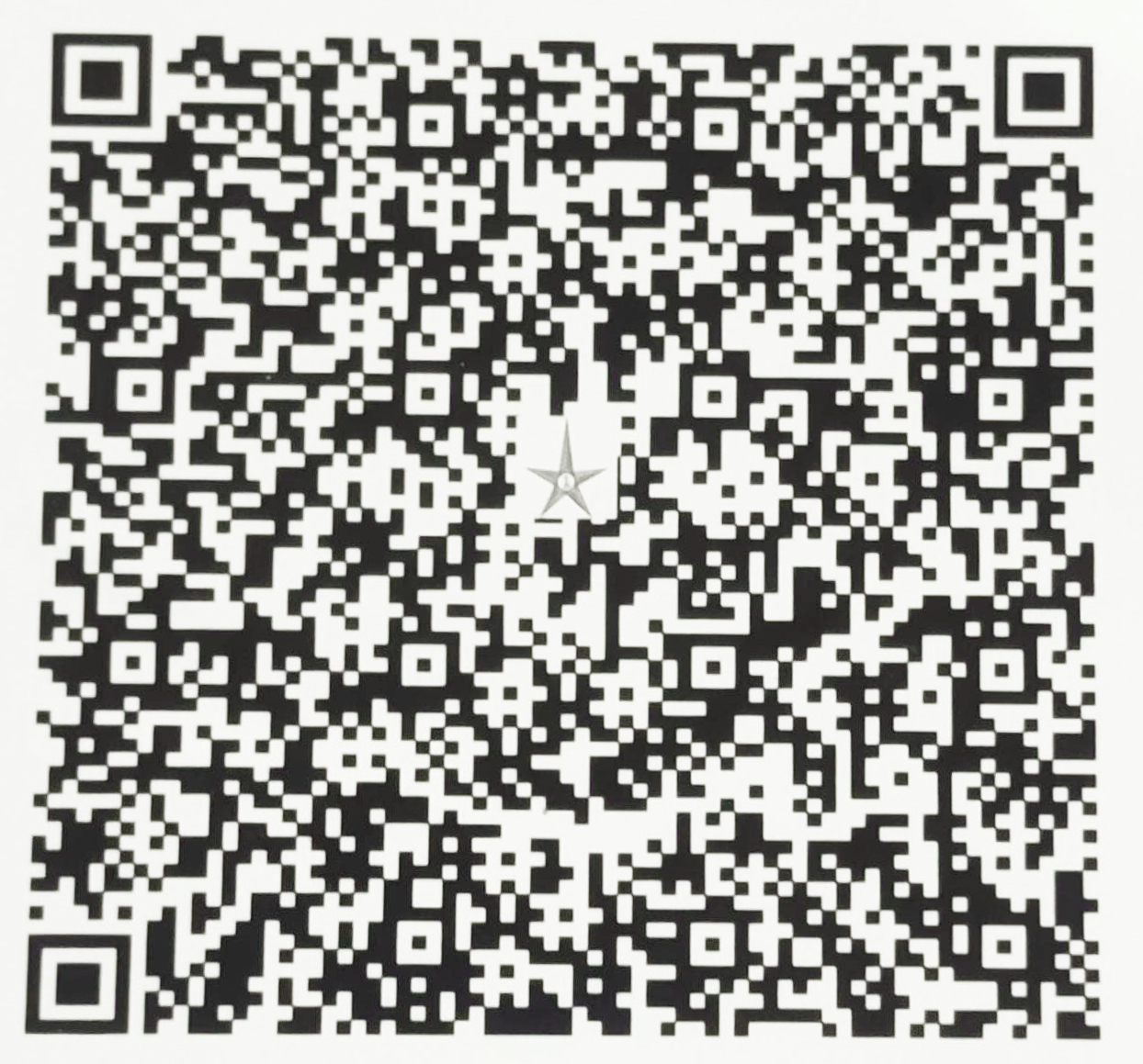 UPI QR Code